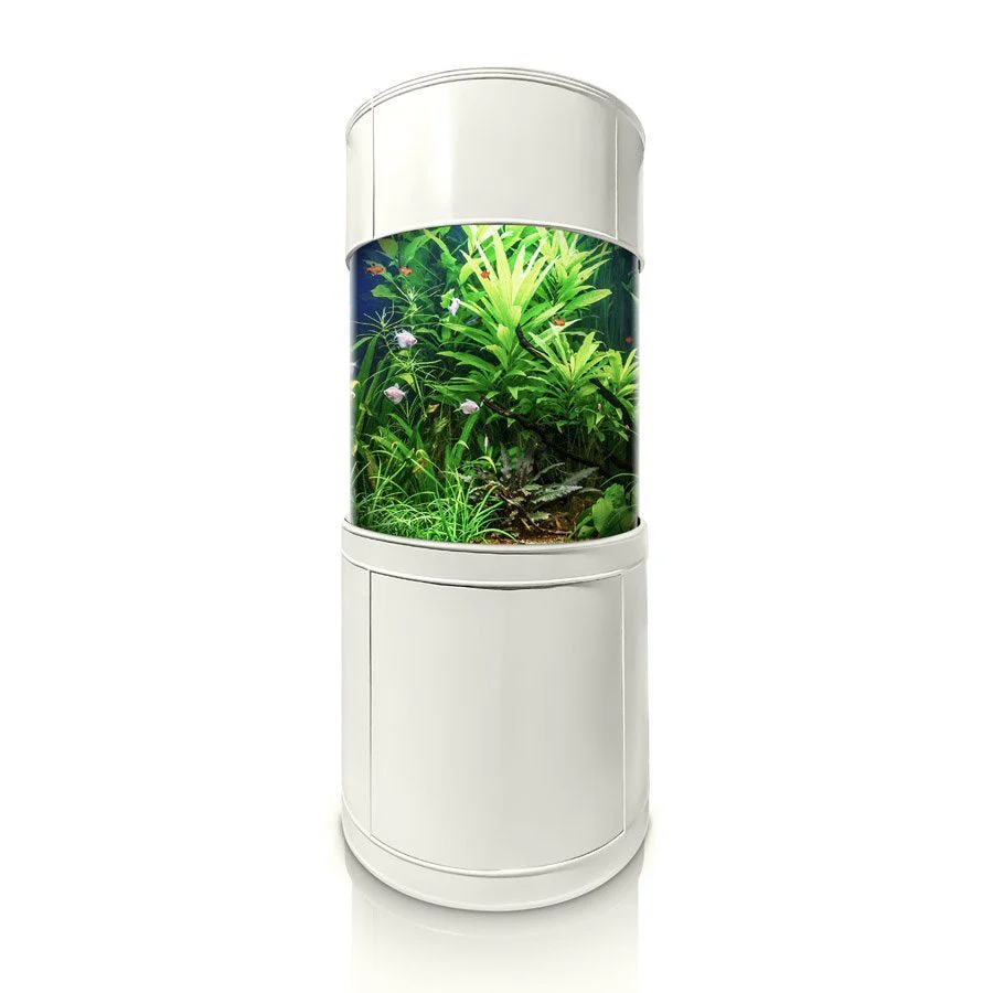 Glass Full Cylinder - Image 2