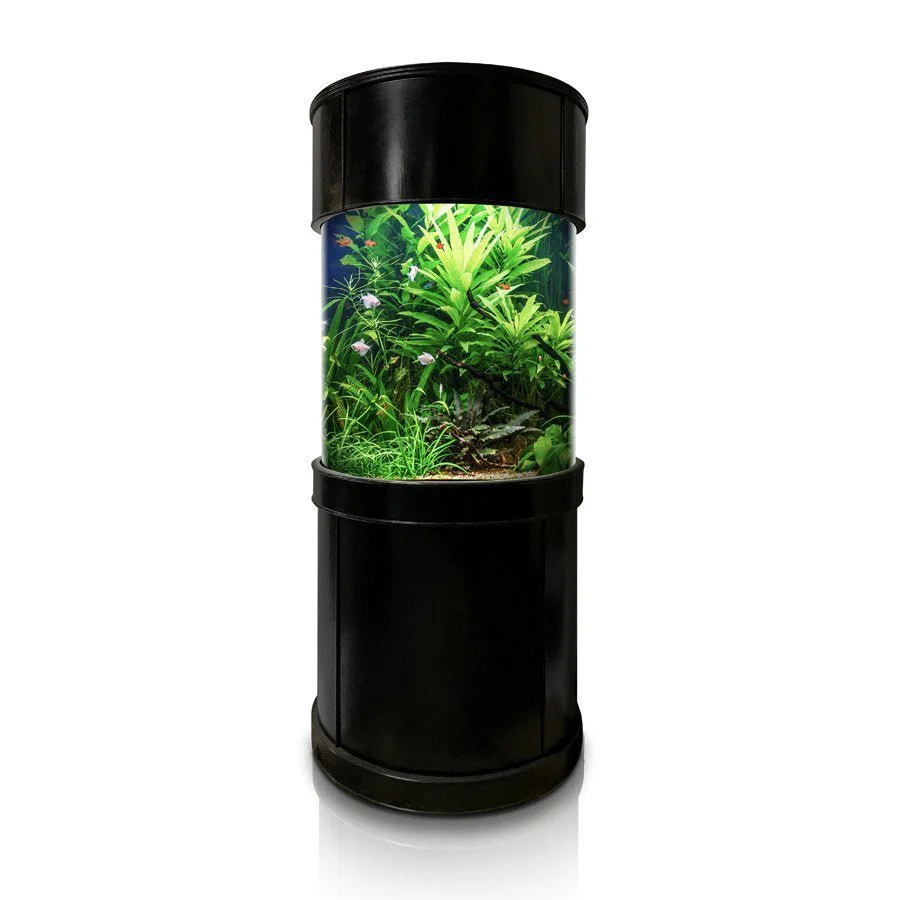 Glass Full Cylinder - Image 4