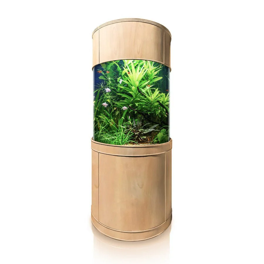 Glass Full Cylinder - Image 5