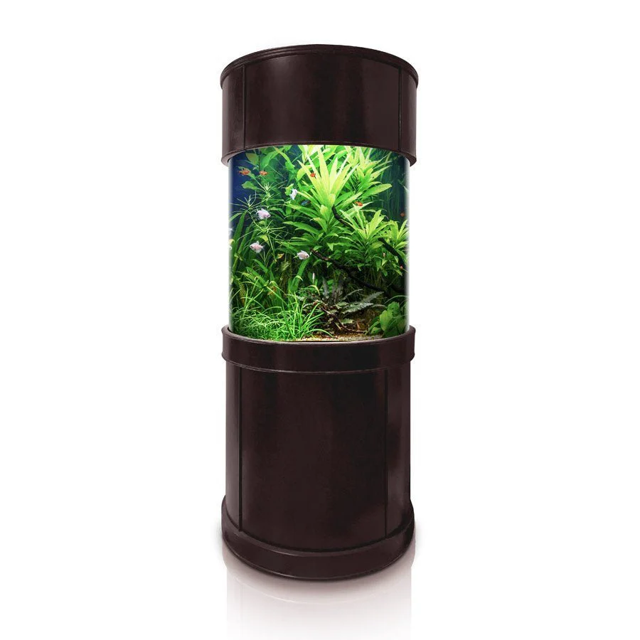Glass Full Cylinder - Image 7