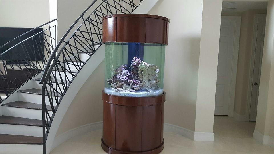 Glass Full Cylinder - Image 9
