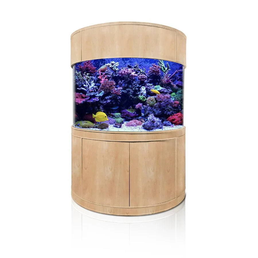 Glass Half Cylinder - Image 2