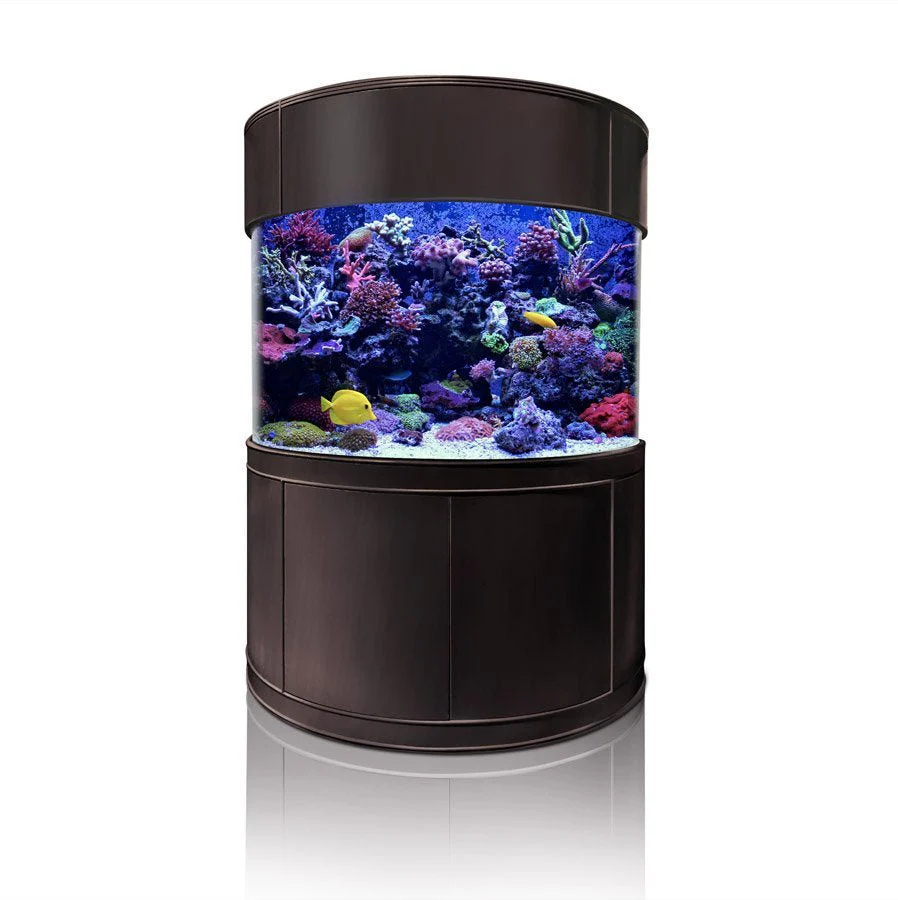 Glass Half Cylinder - Image 3