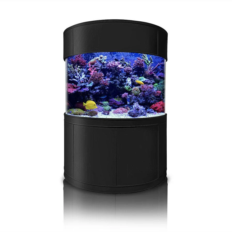Glass Half Cylinder - Image 4