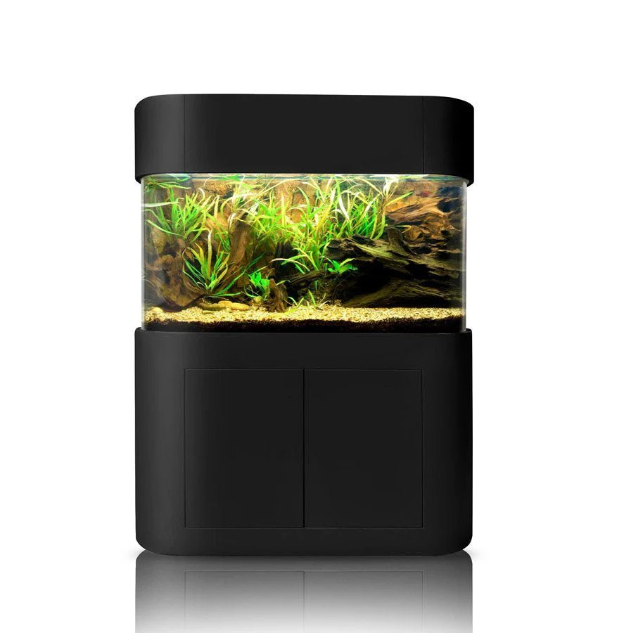 Glass Panoramic Flat - Image 6