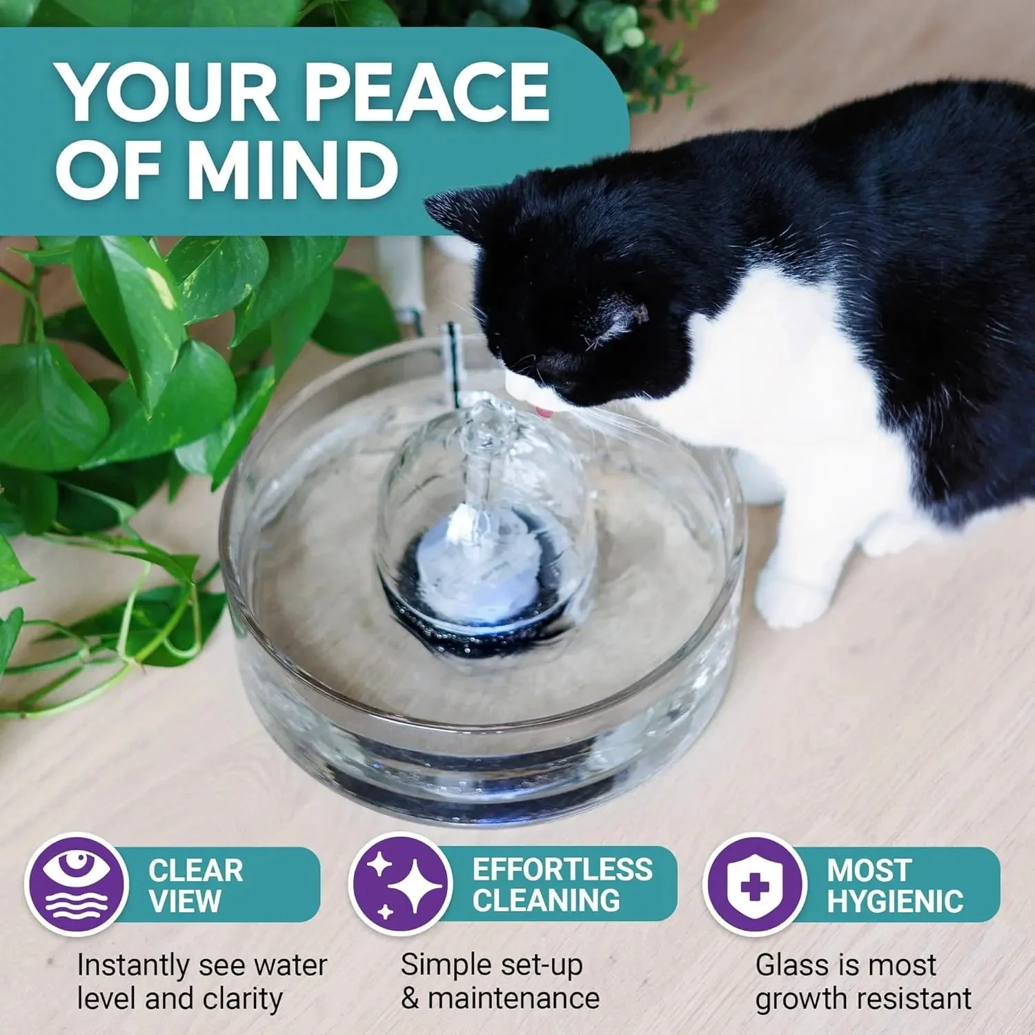Glass Pet Water Fountain – Modern Hydration for Cats & Small Dogs - Image 3