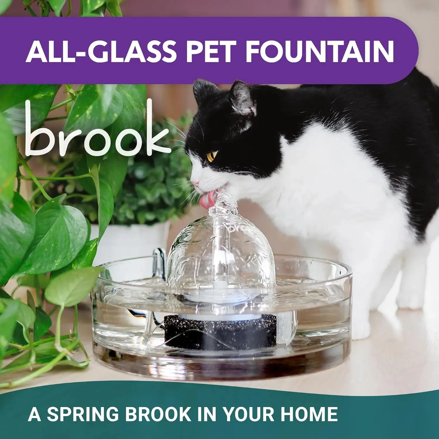 Glass Pet Water Fountain – Modern Hydration for Cats & Small Dogs - Image 6