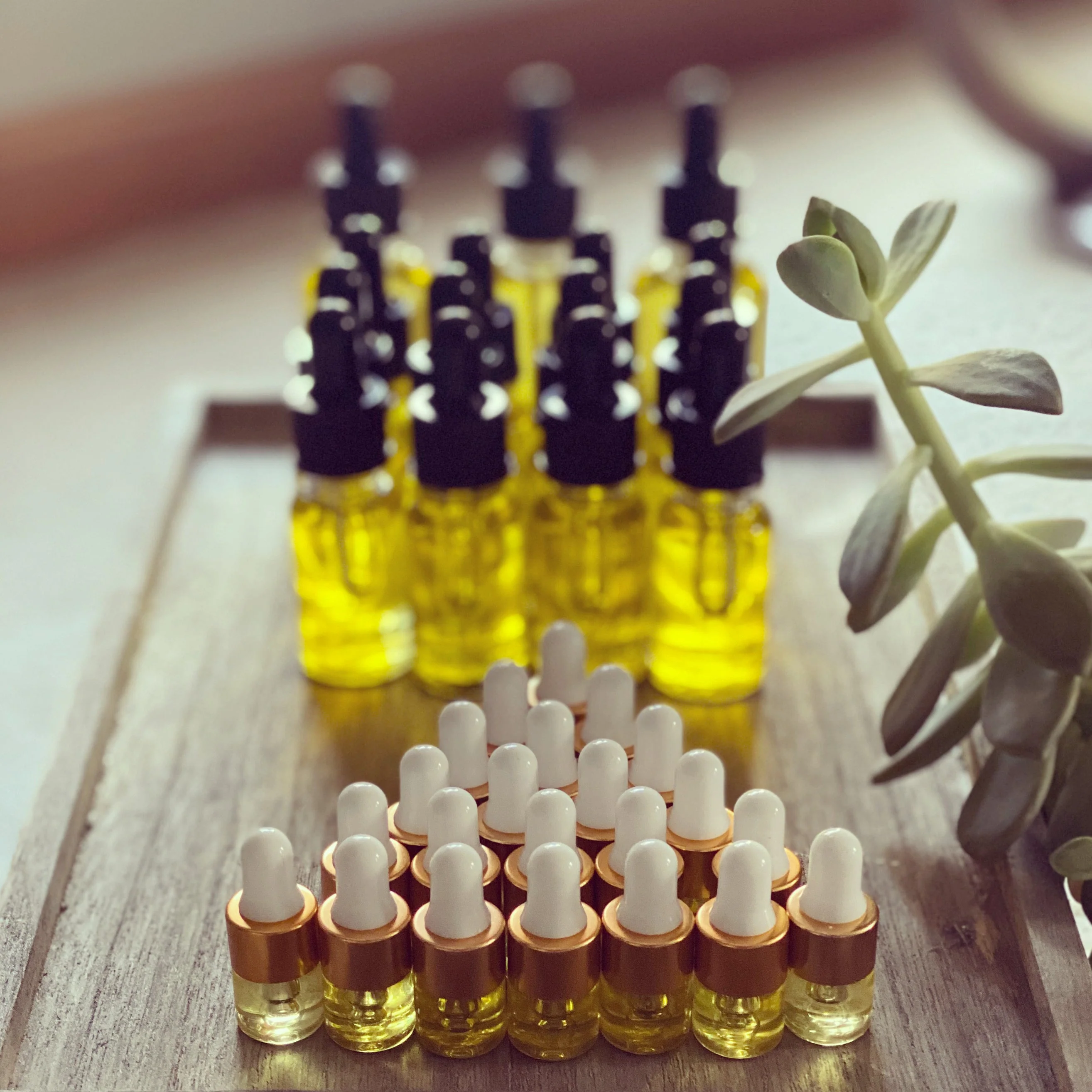 Glowing Facial Oil - Image 5