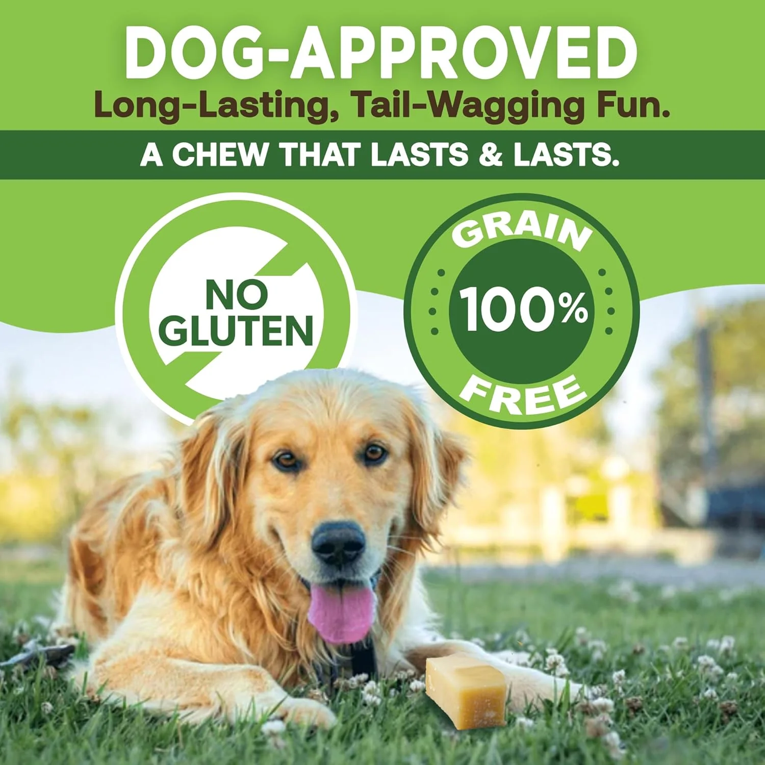 Gold Yak Chews for Small Dogs (4 - 75 sticks) - Image 8
