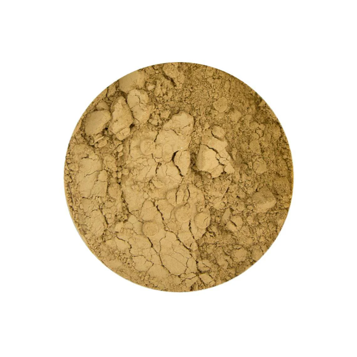 Golden Honey Foundation - Image 3