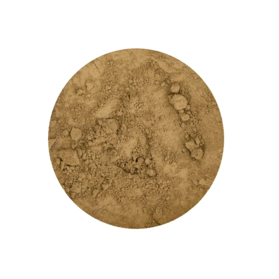 Golden Honey Foundation - Image 4