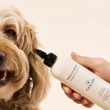Goldie - Miracle Rinse - Image 2