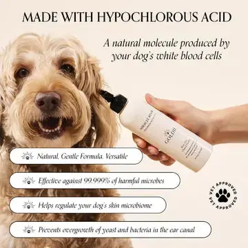 Goldie - Miracle Rinse - Image 3