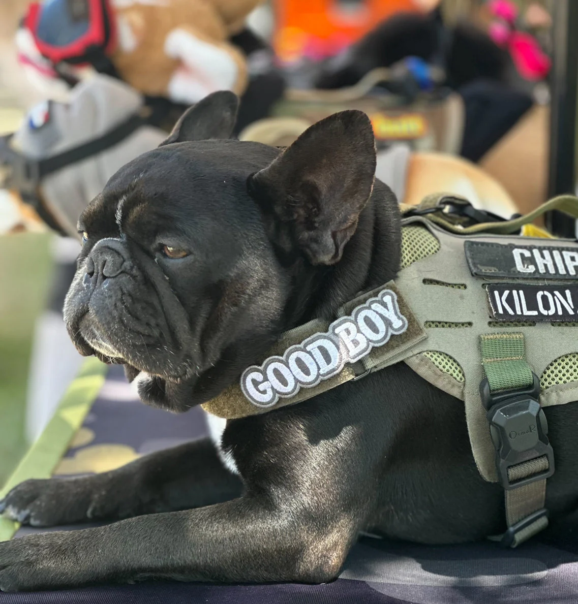 Good Boy Morale Patch - Image 6