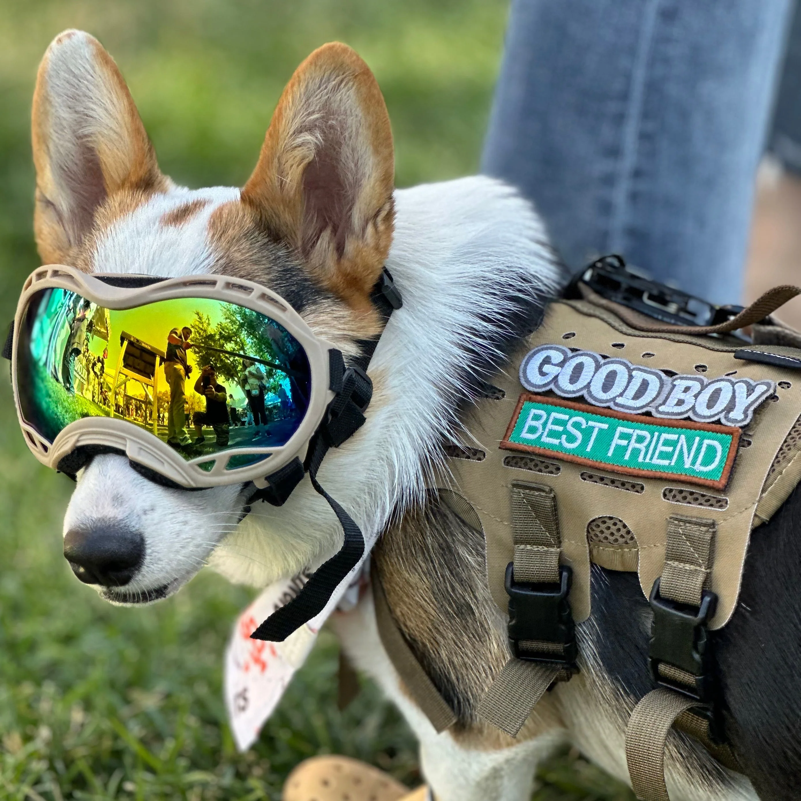 Good Boy Morale Patch - Image 7
