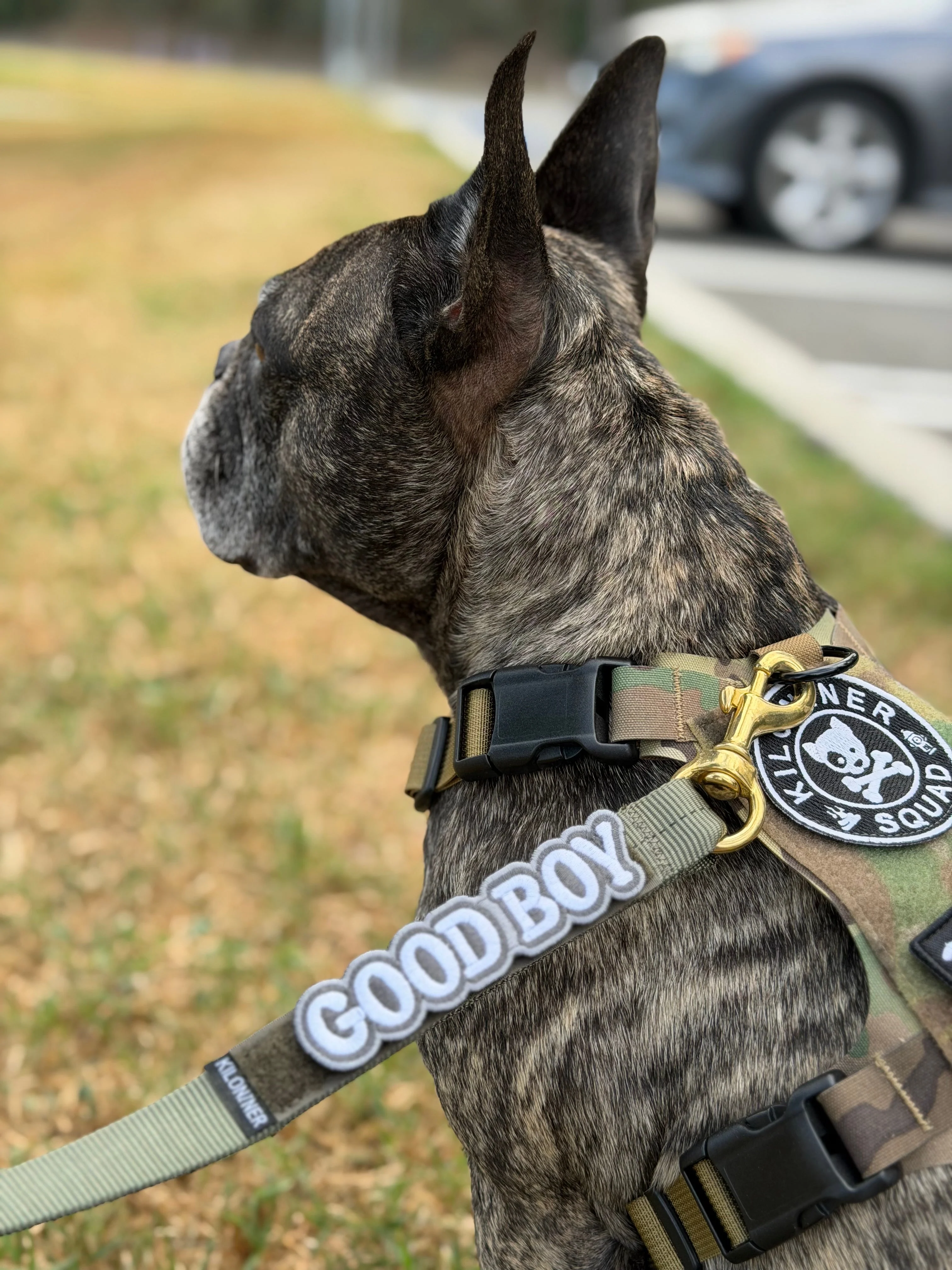 Good Boy Morale Patch - Image 8