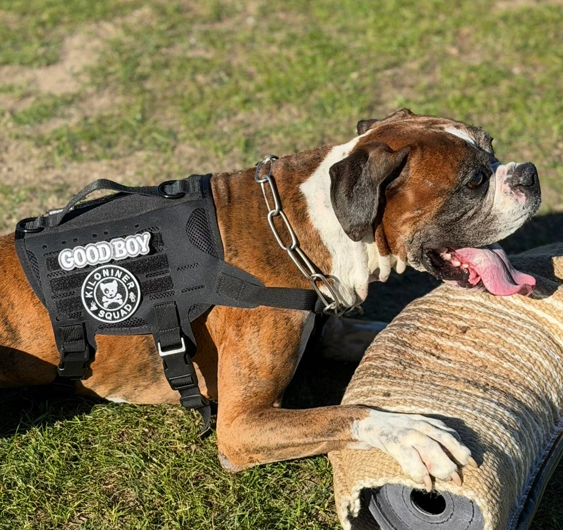 Good Boy Morale Patch - Image 9