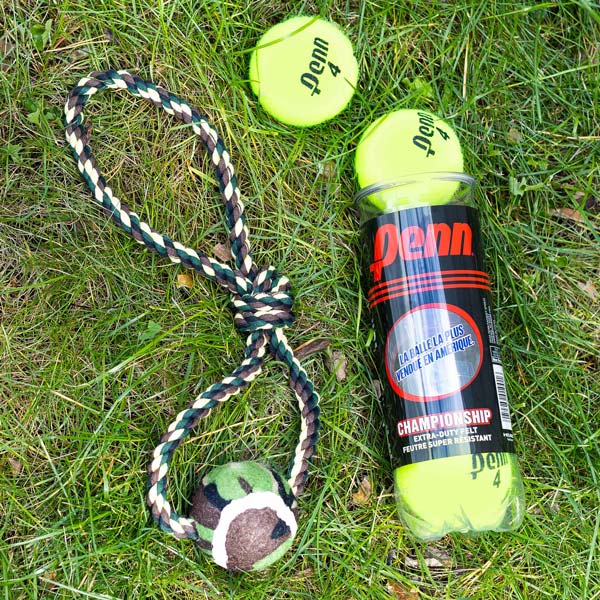 Good Dog Gift Box - Image 6
