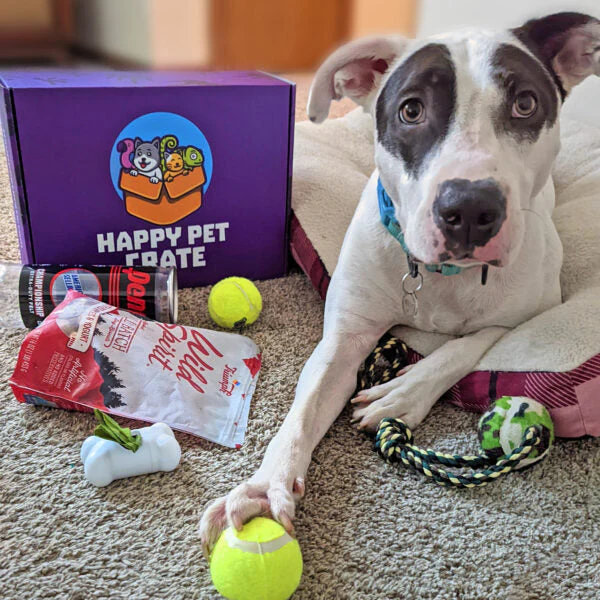 Good Dog Gift Box - Image 8