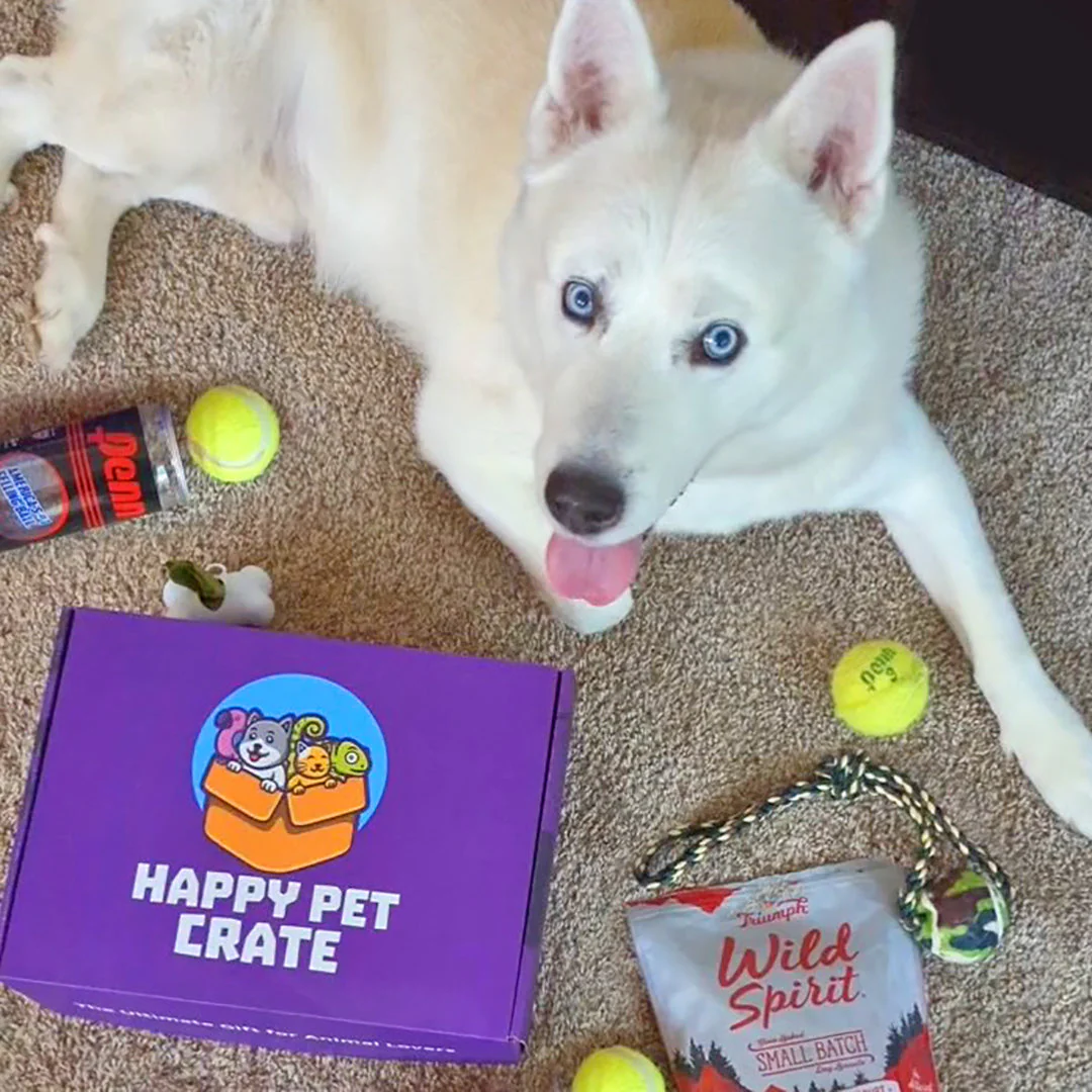 Good Dog Gift Box - Image 9