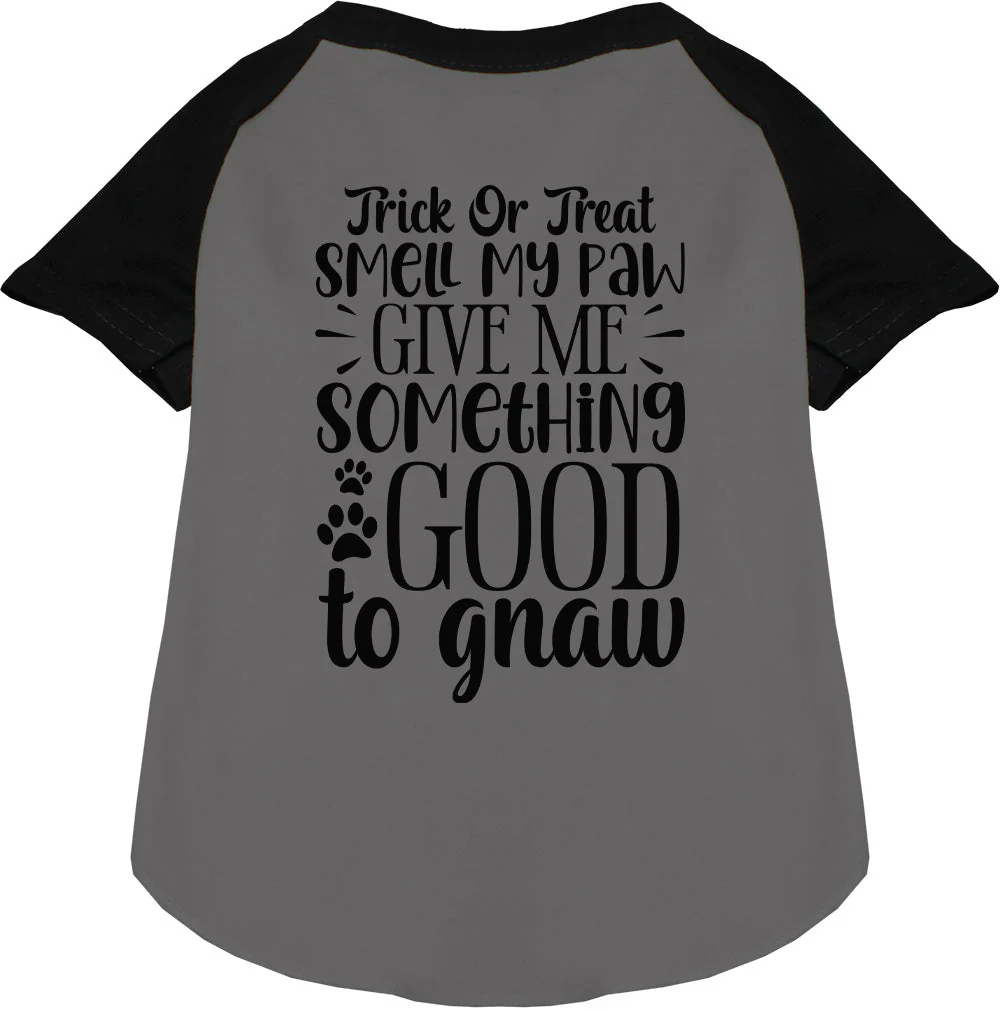 Good to Gnaw Pet Raglan Shirt - Image 3