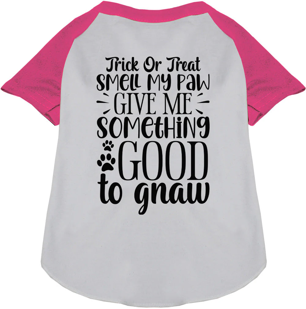 Good to Gnaw Pet Raglan Shirt - Image 4