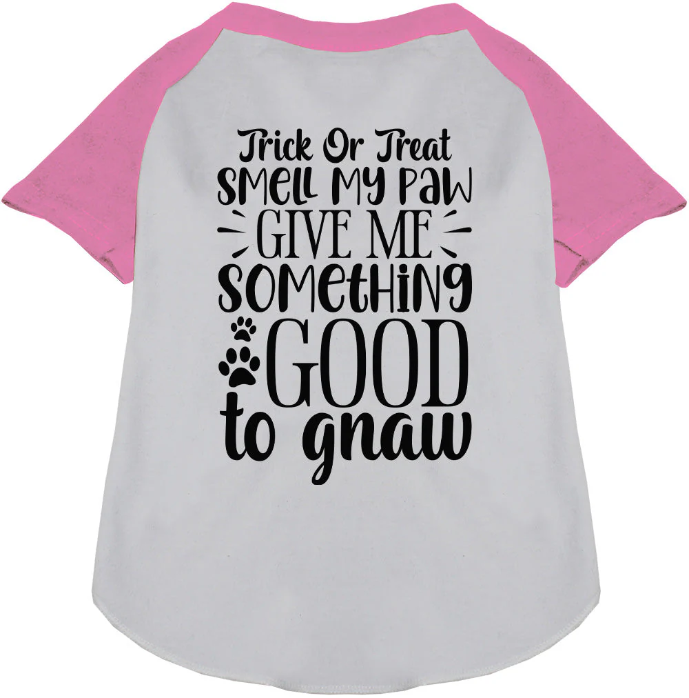 Good to Gnaw Pet Raglan Shirt - Image 5