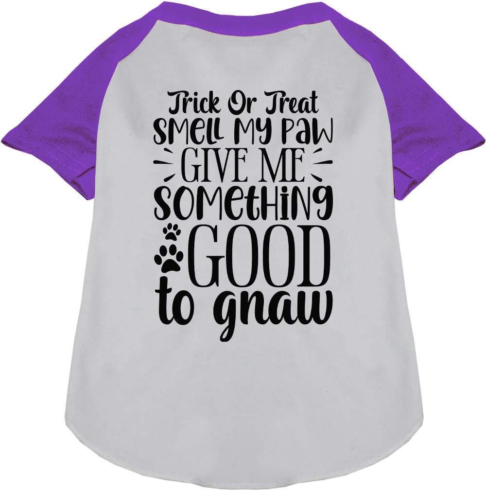 Good to Gnaw Pet Raglan Shirt - Image 6