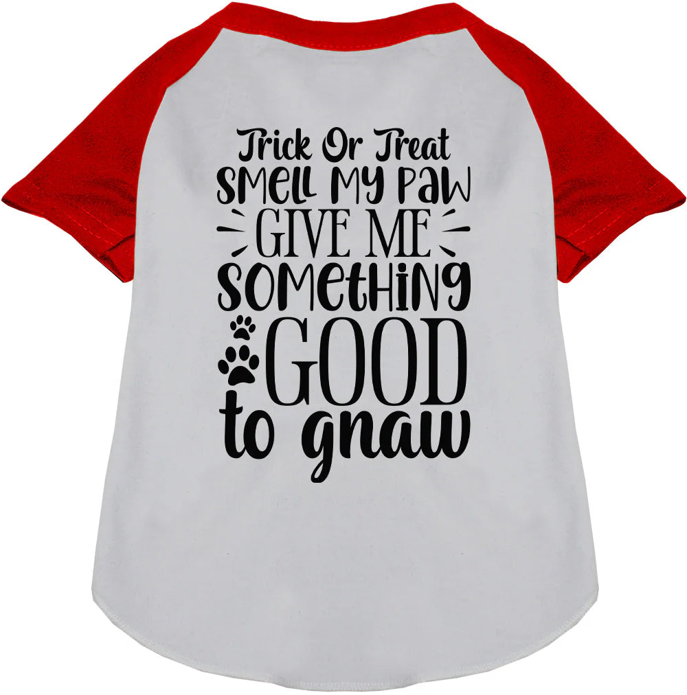 Good to Gnaw Pet Raglan Shirt - Image 7