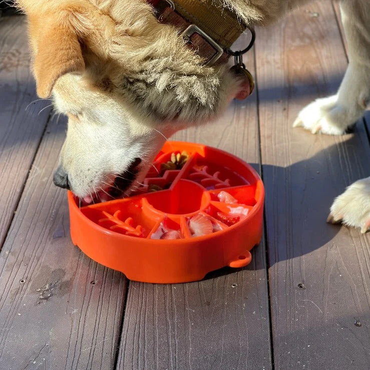 Great Outdoors eBowl - Slow Feeder Dog Bowl & Enrichment | USA Made - Image 10