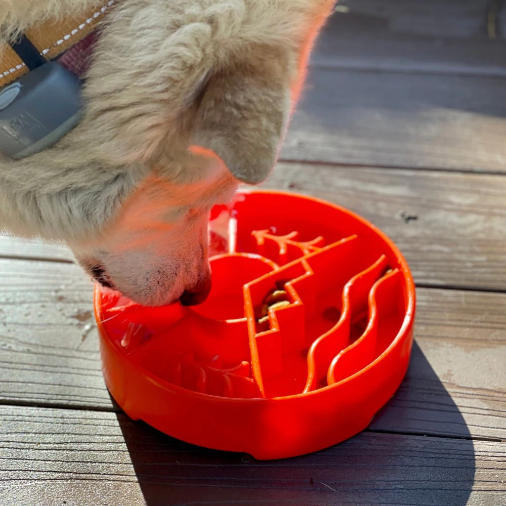Great Outdoors eBowl - Slow Feeder Dog Bowl & Enrichment | USA Made - Image 11