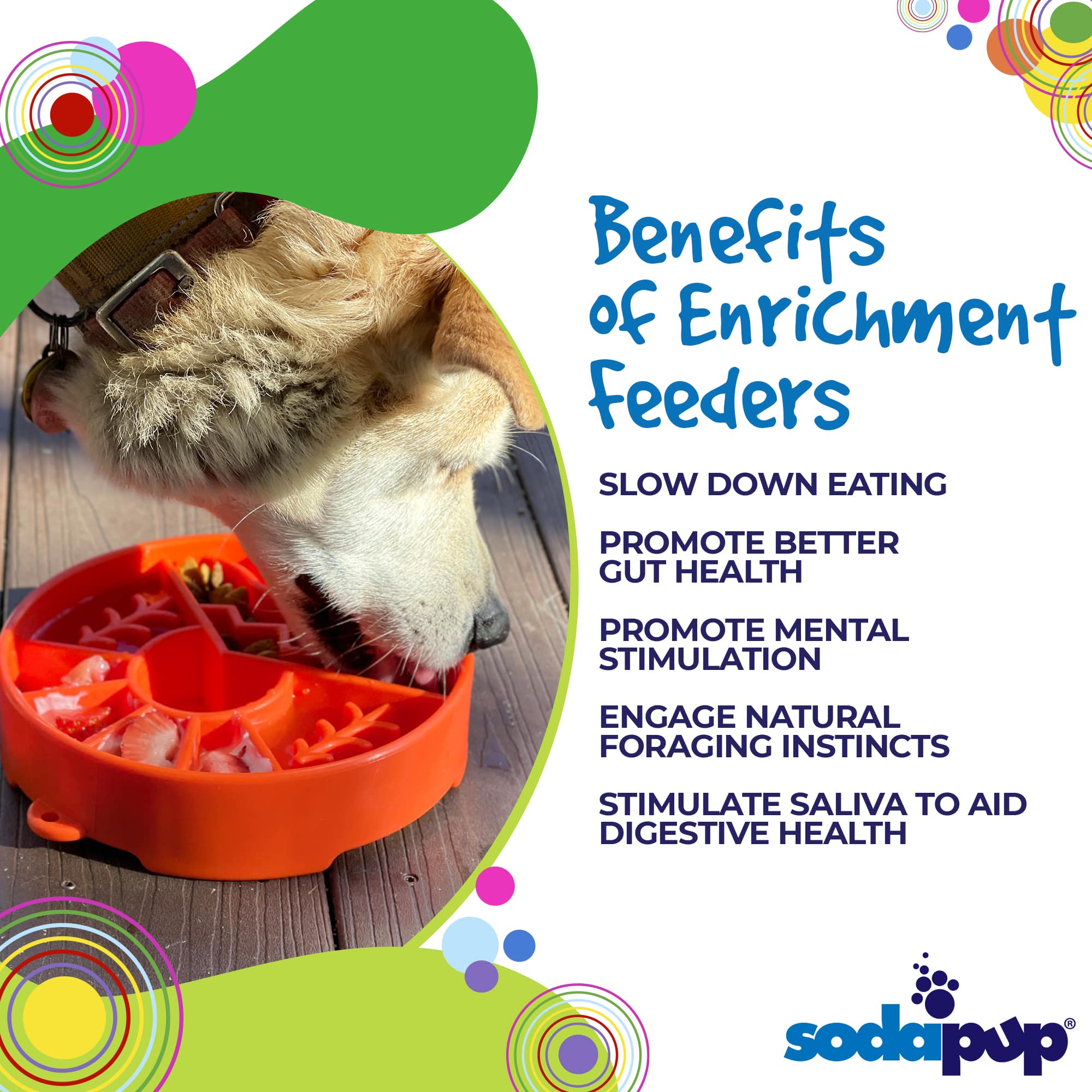 Great Outdoors eBowl - Slow Feeder Dog Bowl & Enrichment | USA Made - Image 4
