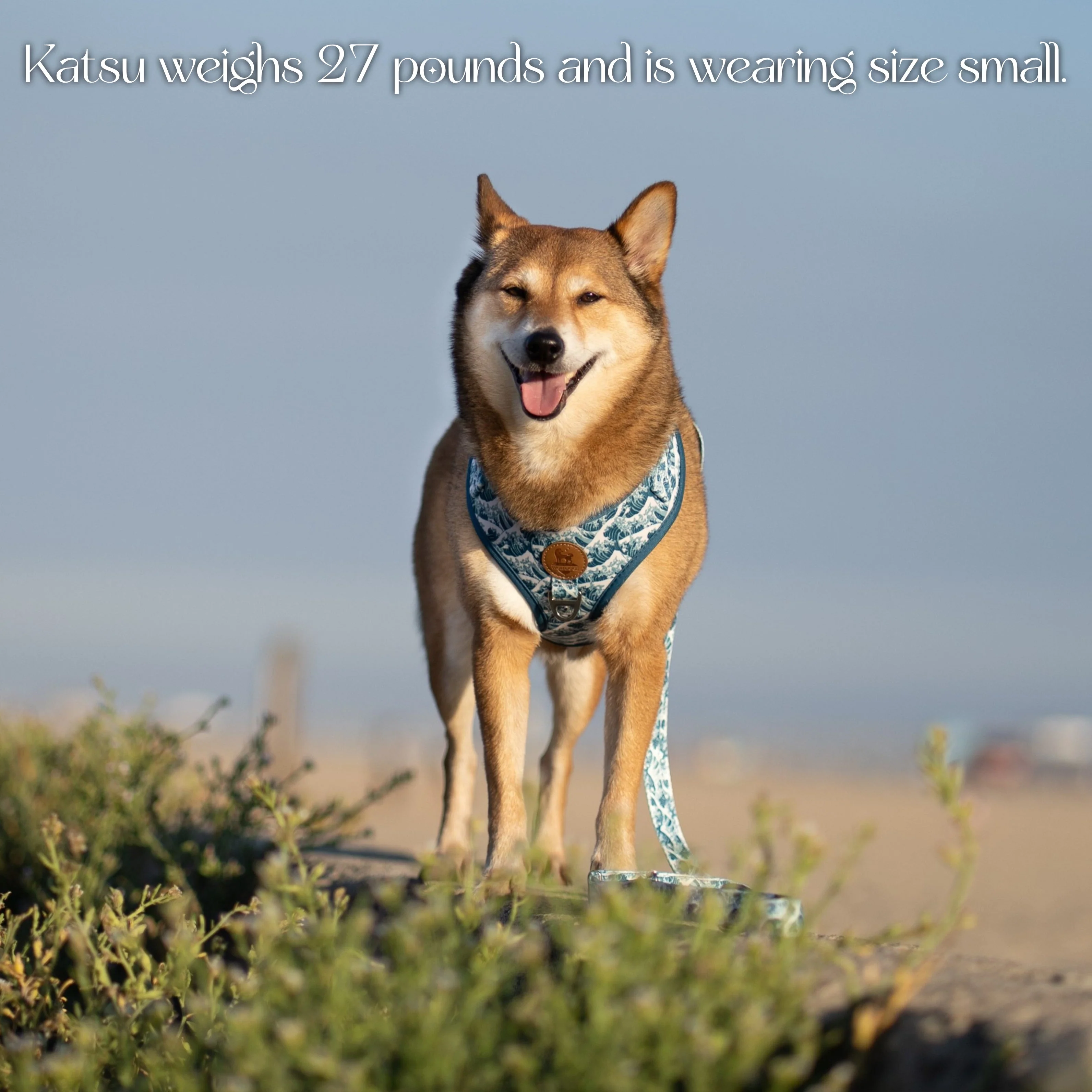 Great Wave Harness - Image 4