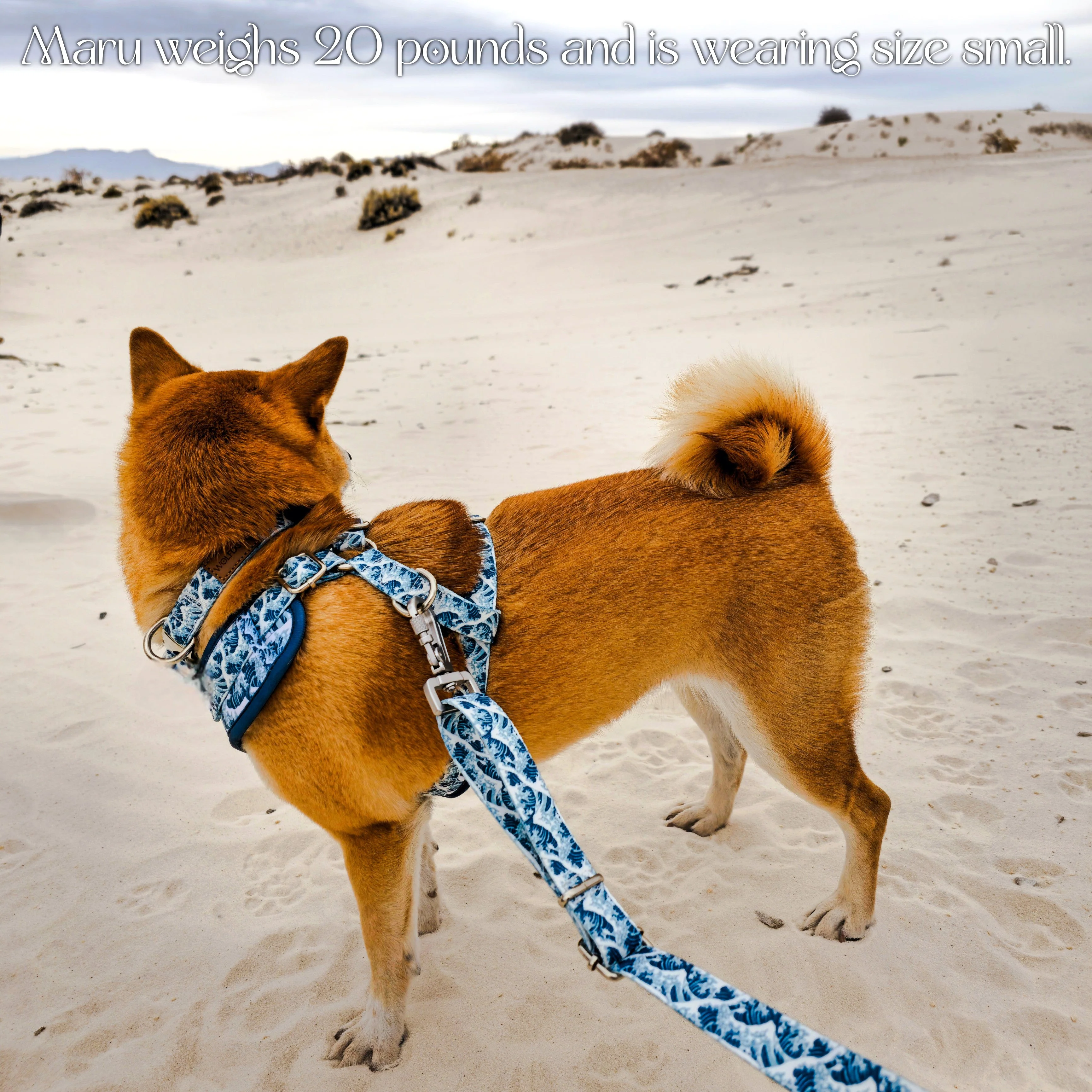 Great Wave Harness - Image 5