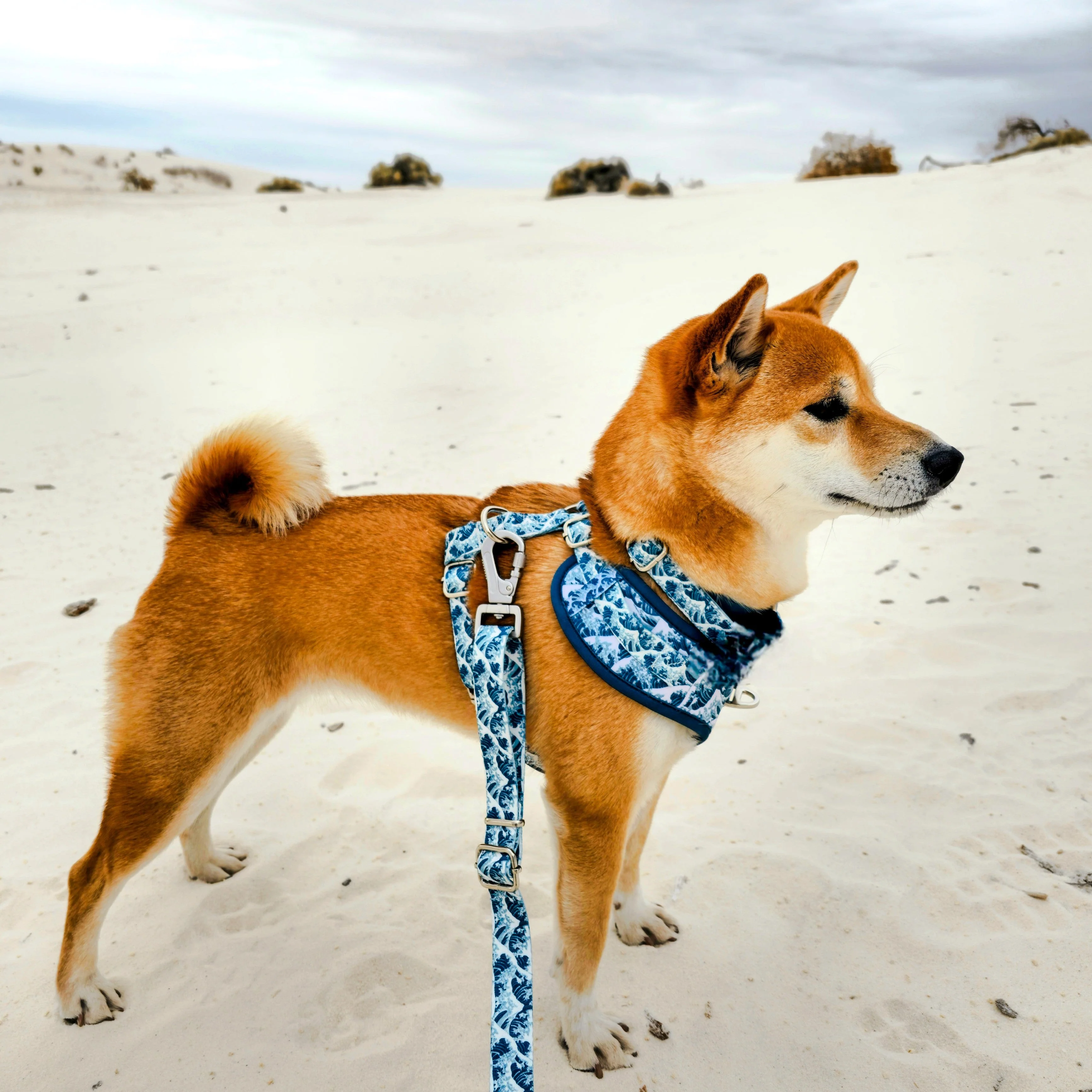 Great Wave Leash - Image 4