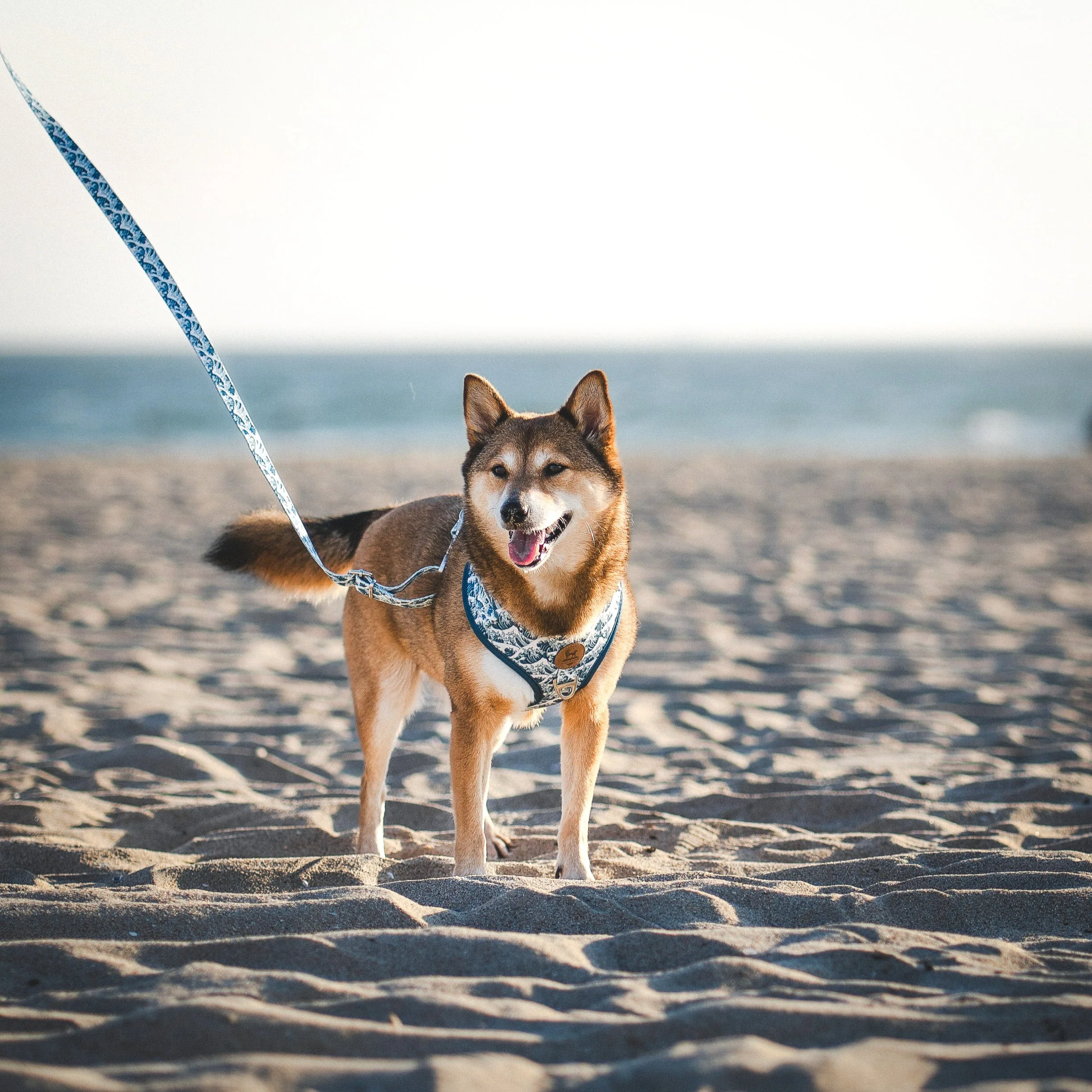 Great Wave Leash - Image 5