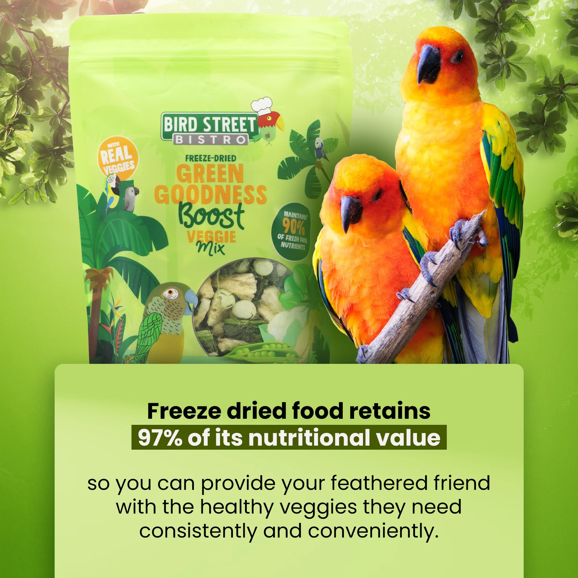 Green Goodness Boost - Parrot Veggies Mix - Image 4