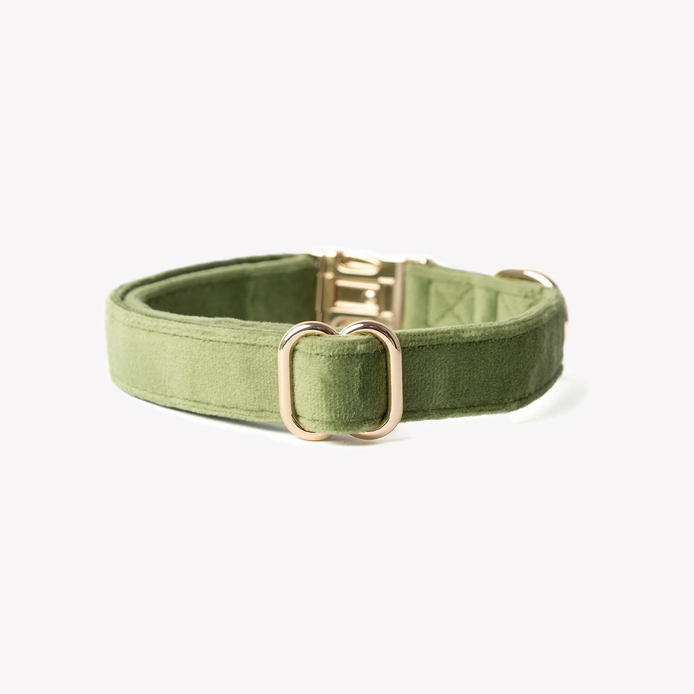 'Green' - Velvet Dog Collar - Image 2