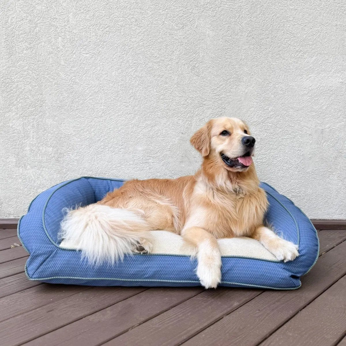GreenDog Checkered Wave Bolster Bed - Image 3