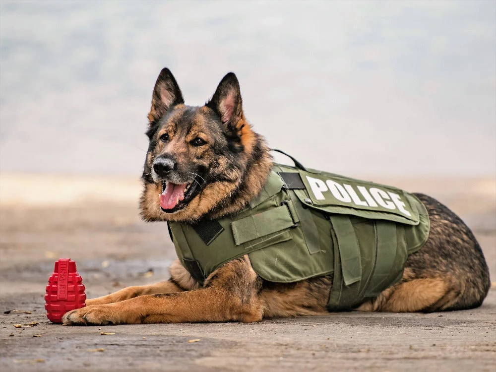 Grenade Shaped eDispenser Durable Dog Chew Toy & Treat Dispenser - Army Green - Image 8