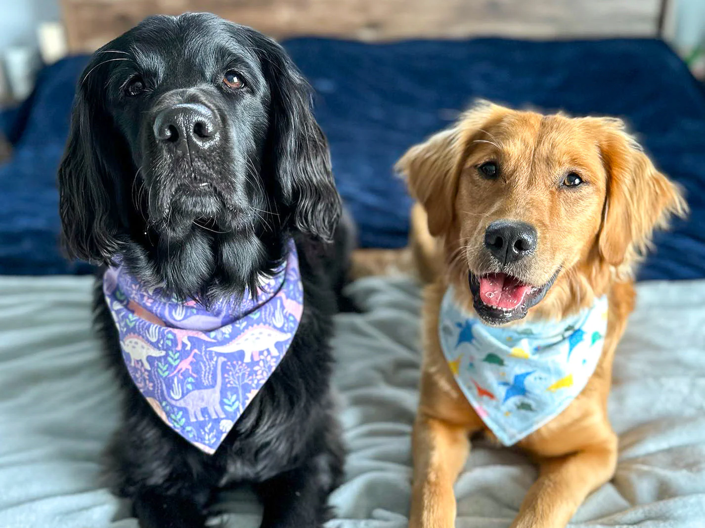 "Grey Planets" Dog Bandana - Image 4