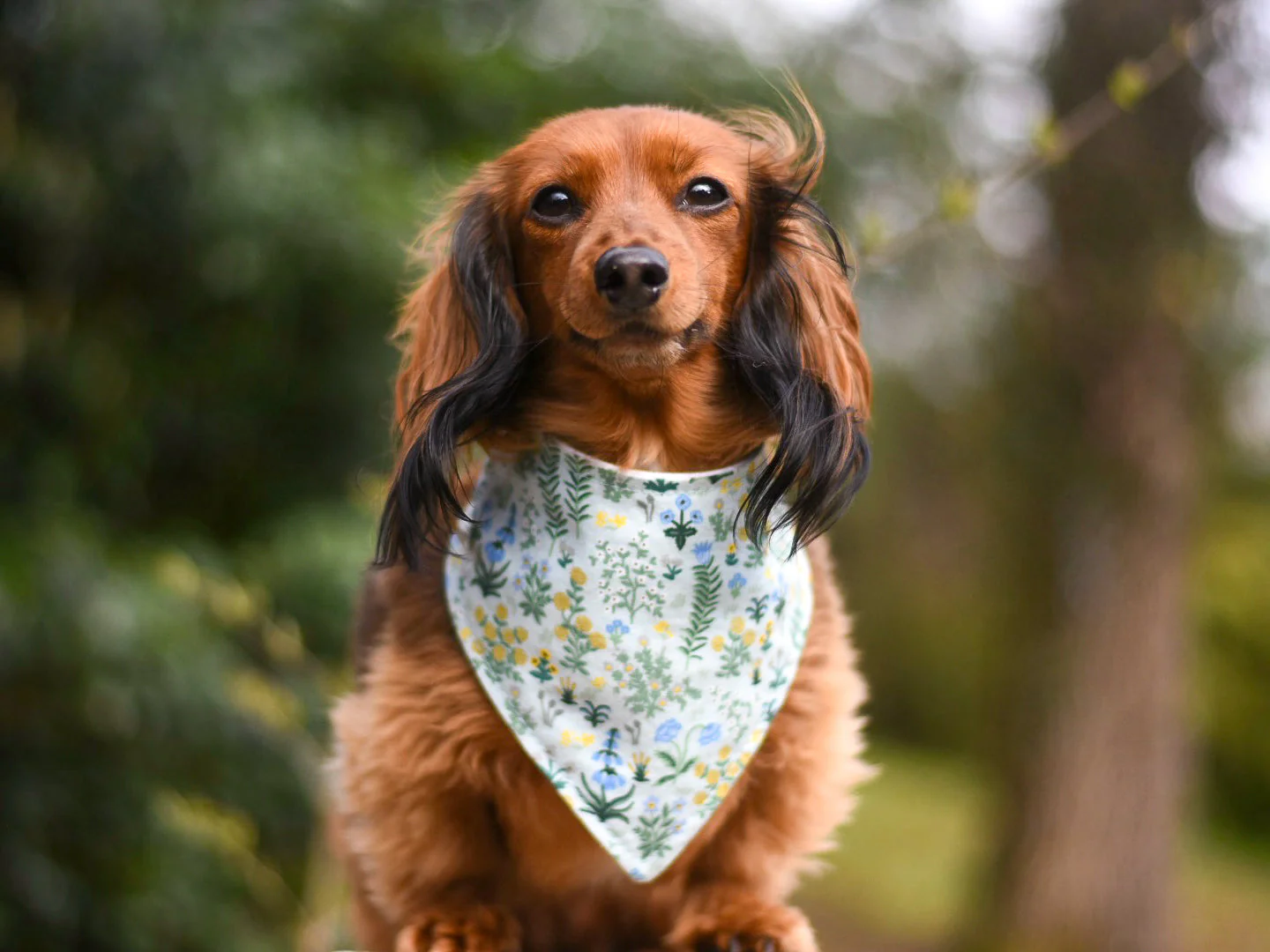 "Grey Planets" Dog Bandana - Image 7