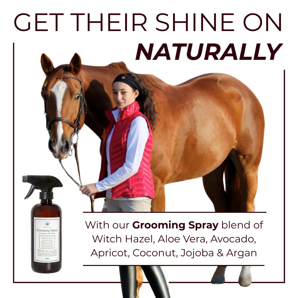 Grooming Spray for Dogs & Horses - 16oz - Image 3