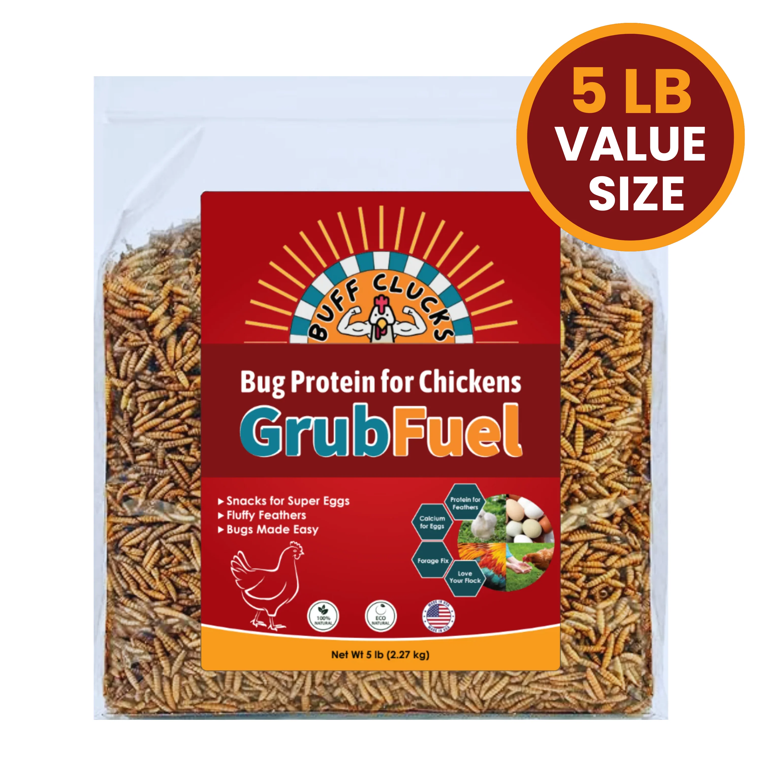 GrubFuel - Black Soldier Fly Larvae for chickens - Image 14