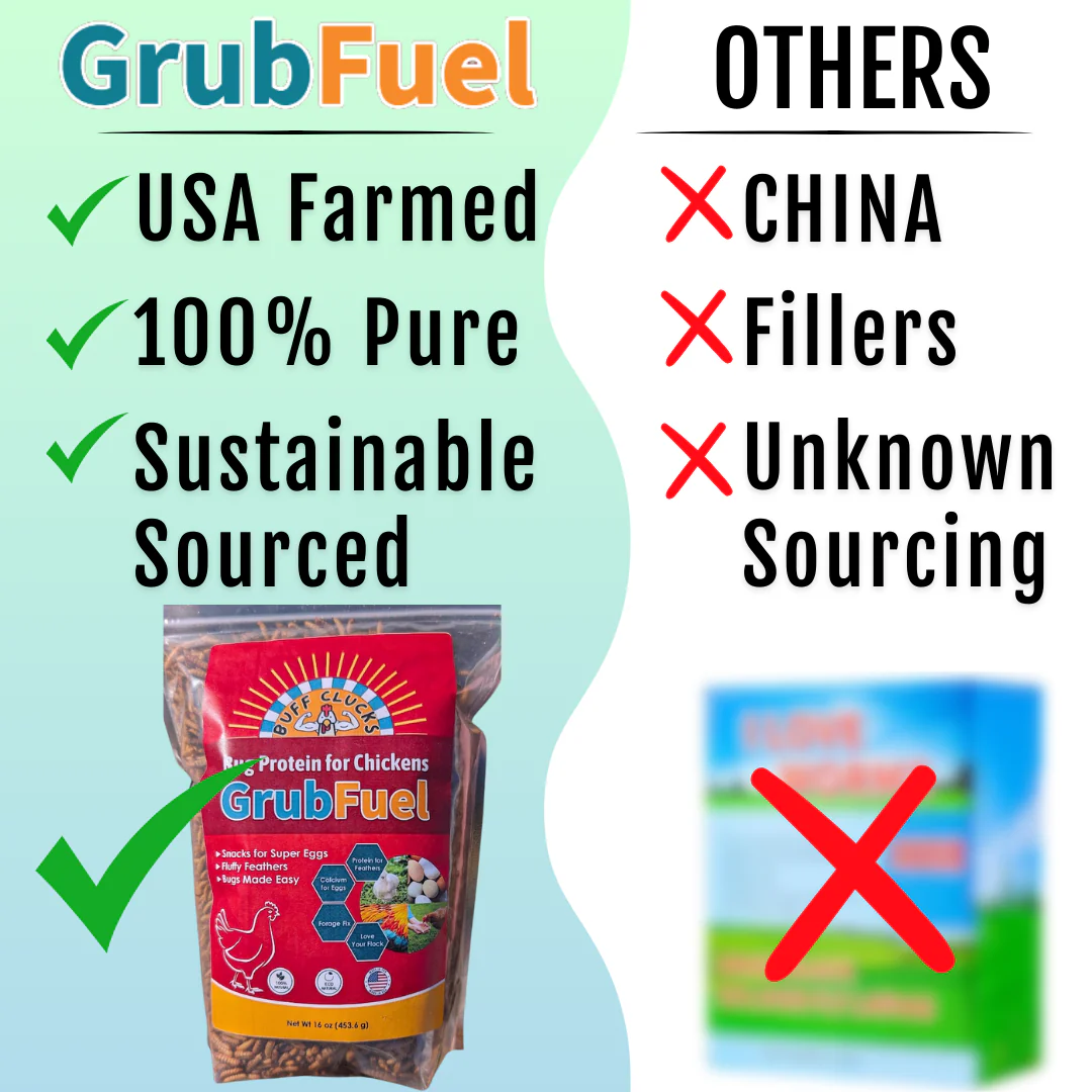 GrubFuel - Black Soldier Fly Larvae for chickens - Image 5