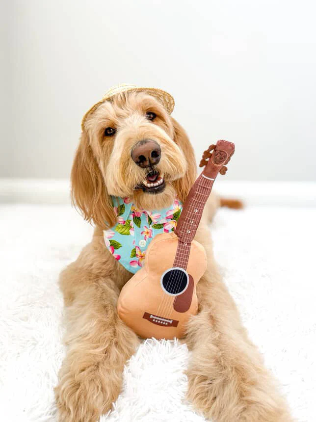 Guitar Squeaky Dog Toy – Plush Crinkle Dog Toy for Medium & Large Dogs, Durable Musical Dog Toy for Tug, Fetch & Birthday Gifts - Image 2