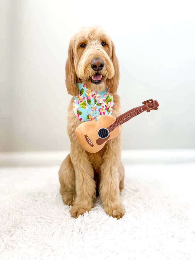 Guitar Squeaky Dog Toy – Plush Crinkle Dog Toy for Medium & Large Dogs, Durable Musical Dog Toy for Tug, Fetch & Birthday Gifts - Image 8