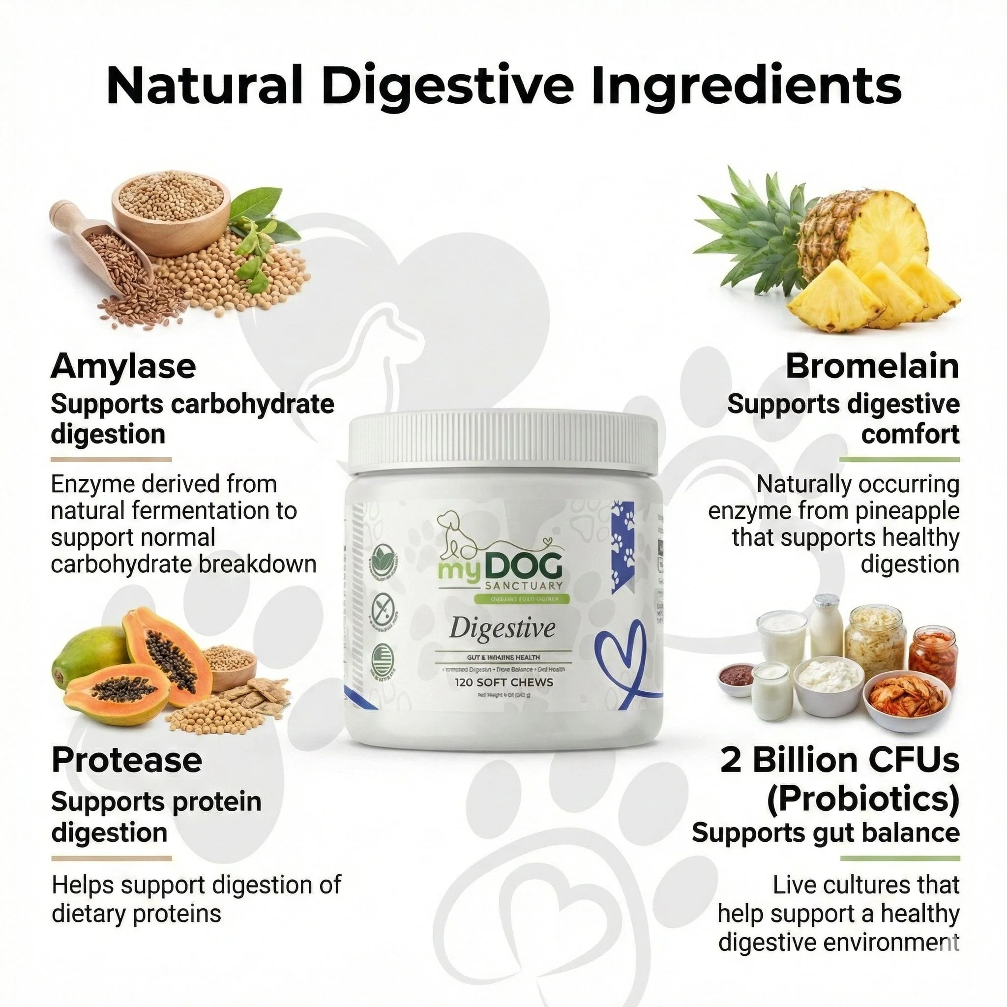 Gut Garden Digestive Support Chews - Image 2