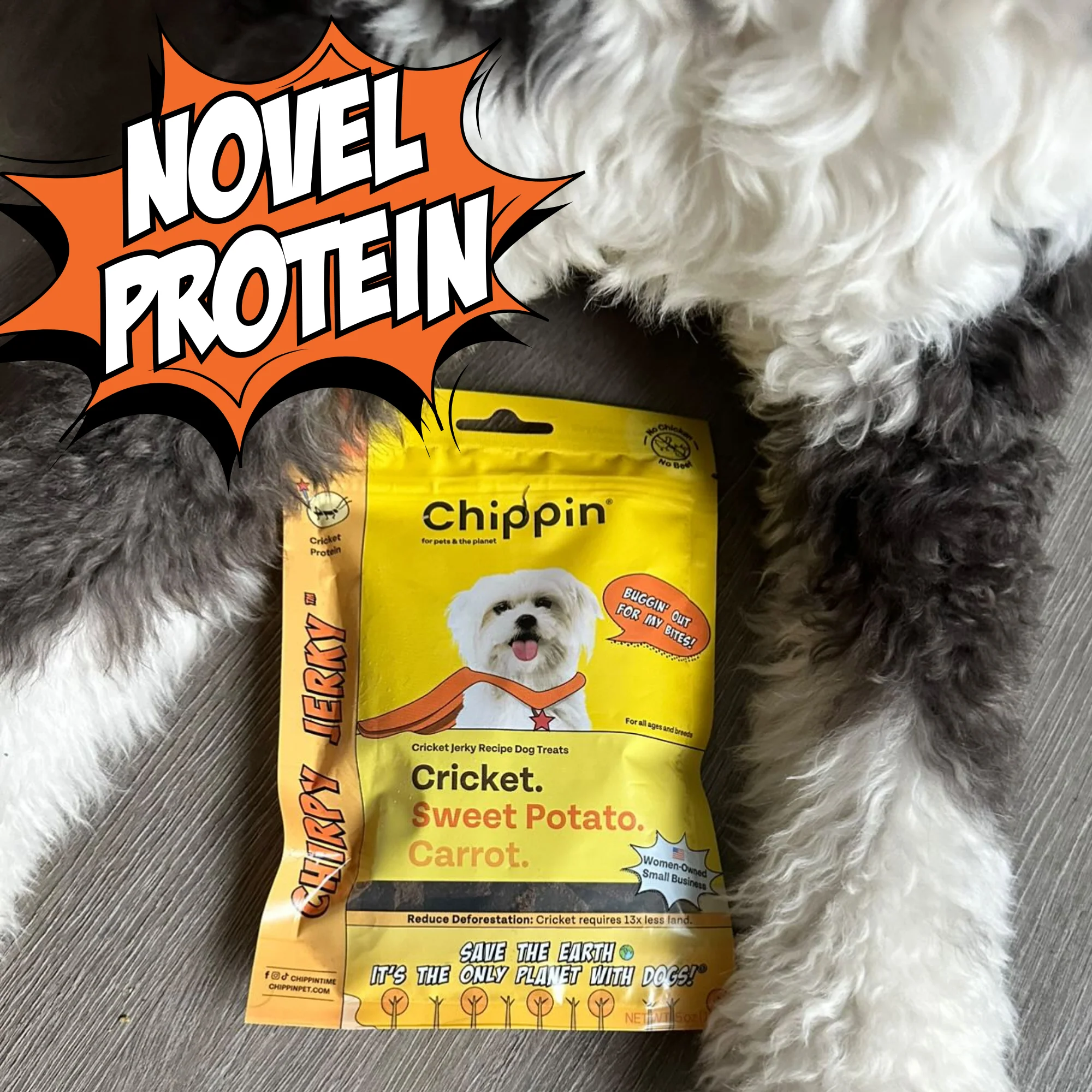 Gut Healthy Dog Treat Variety Bundle - Image 3