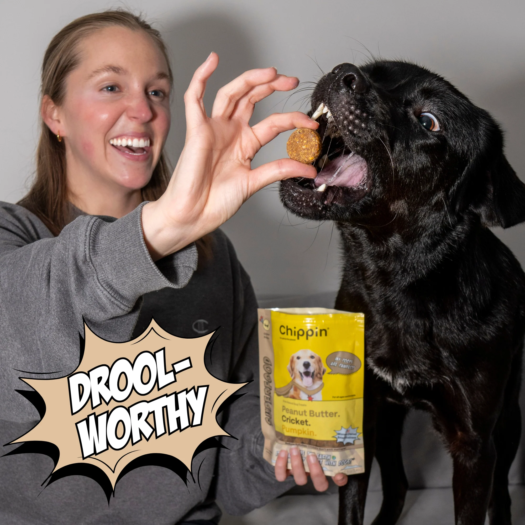 Gut Healthy Dog Treat Variety Bundle - Image 4